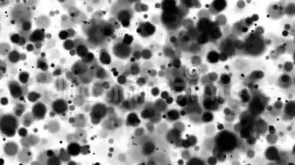 3D渲染黑色模糊点创建bokeh计算机生成的抽象背景视频的预览图
