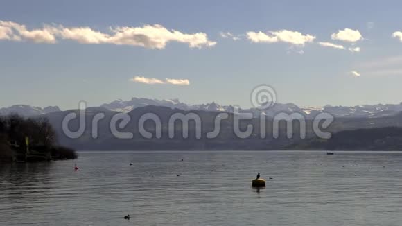 瑞士苏黎世的宁静湖湖边建筑和海滩视频的预览图