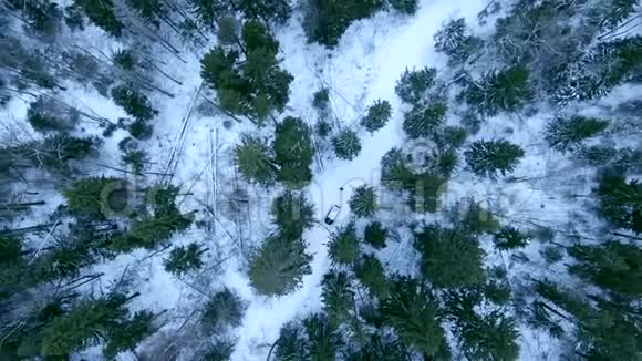 空中观景无人驾驶飞机升起在冬天的雪林之上视频的预览图