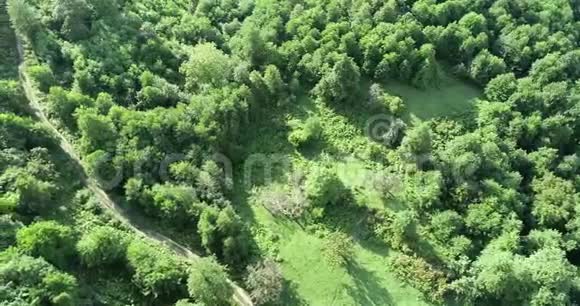 田间道路在森林空中避暑视频的预览图