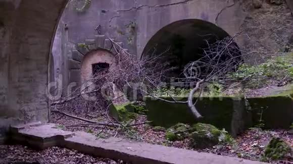 古堡内隧道全景视频的预览图