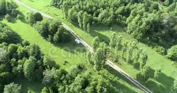 用移动的汽车在森林中俯瞰乡村道路景观从上面用无人机抓来的空中鸟视频的预览图
