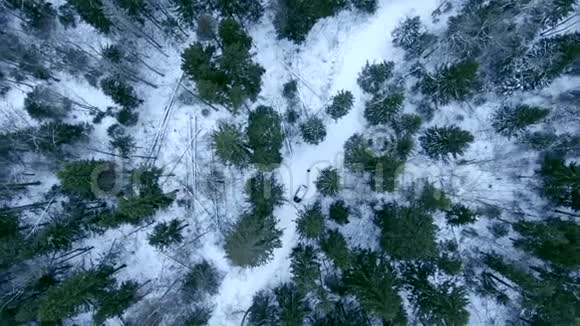 空中观景无人机降落在冬天的雪林上从上到下的画面视频的预览图