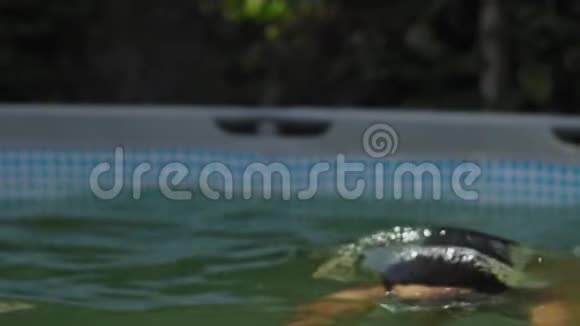 慢动作近距离戴着潜水镜的印度男子在儿童游泳池游泳视频的预览图