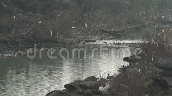 撕破的塑料袋挂在河边的树木和灌木上视频的预览图