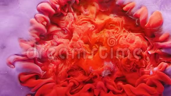 颜料滴混合珊瑚红橙紫液体视频的预览图