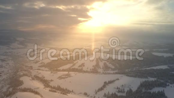 美丽的喀尔巴阡山森林的顶部景色在柔和的白雪覆盖下的高山视频的预览图
