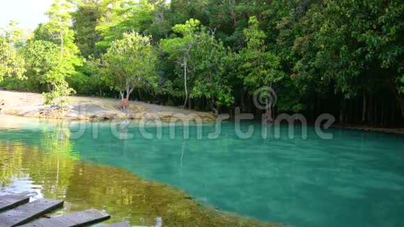 泰国绿蓝水是泰国克拉比的旅游景点视频的预览图