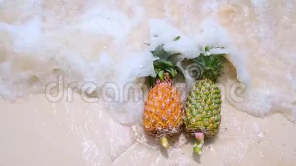 在烈日下海边的沙滩上摆放着菠萝眼镜为夏季树立了概念视频的预览图
