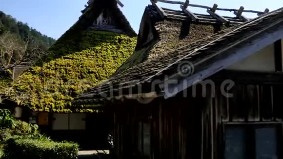 在京都的宫山宫山的个茅草村没有佐藤视频的预览图