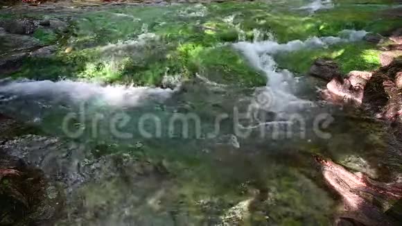 有蓝藻的瀑布在溪流中流动视频的预览图
