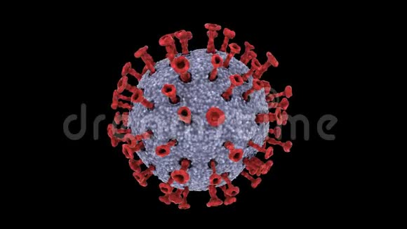 单冠状病毒细胞的三维动画循环视频的预览图