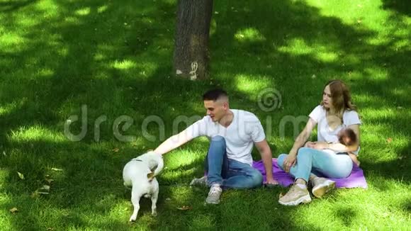 爱父母在绿茵草坪上和狗宝宝共度夏日视频的预览图