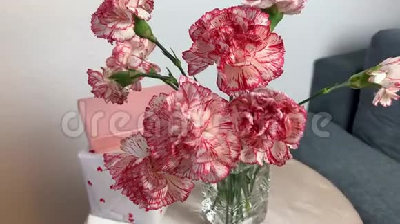 一束粉红色的康乃馨花放在花瓶里盒子里的礼物放在一张灰色沙发旁边的圆桌上甜蜜的概念视频的预览图