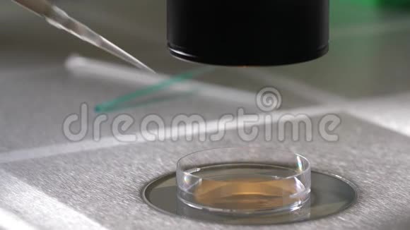 放置在显微镜下的冷冻保护剂滴视频的预览图