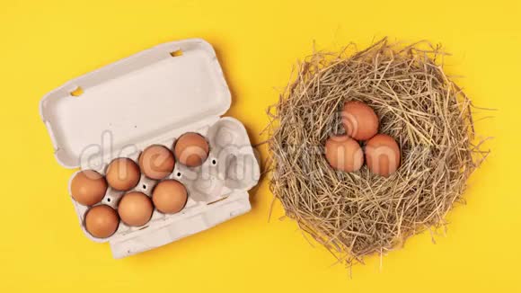 鸡蛋从巢到纸板箱视频的预览图
