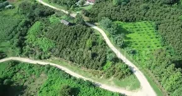森林空中夏季的田间道路视频的预览图