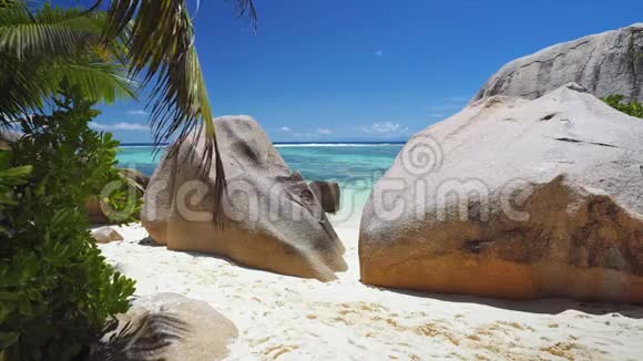 资料来源d塞舌尔境内的阿根廷人花岗岩棕榈树树叶沙滩和海洋等形状岩石视频的预览图