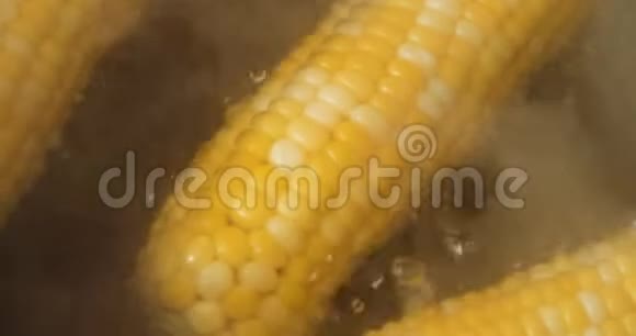 熟玉米在沸水中视频的预览图