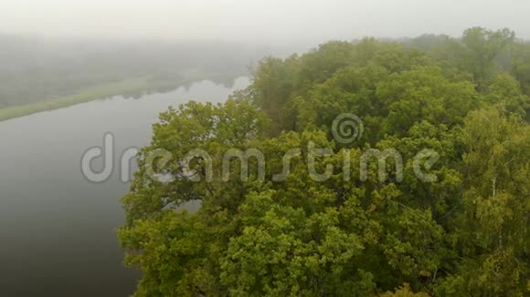 雾中亚马逊的神秘自然景观河流森林和丛林视频的预览图
