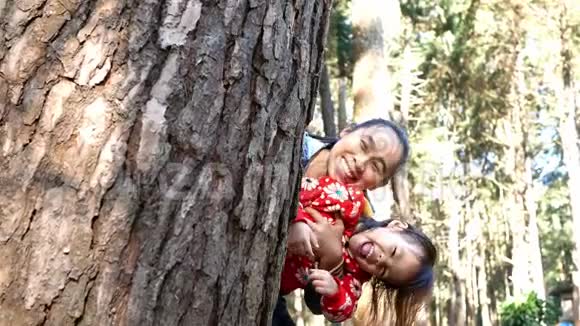 快乐的亚洲母女在冬日从一棵树后面偷看和微笑视频的预览图