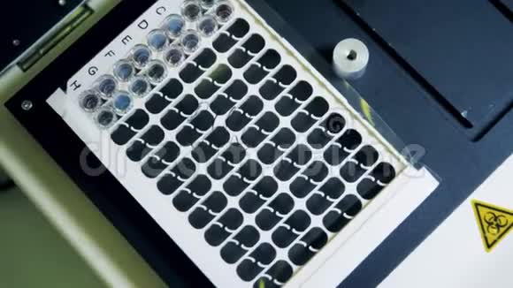 柯维德19冠状病毒检测过程带有化学探针的震动托盘的俯视图视频的预览图