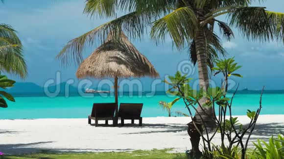 沙滩椅雨伞和沙滩棕榈长尾当地小船经过泰国KohLipe岛亚洲视频的预览图