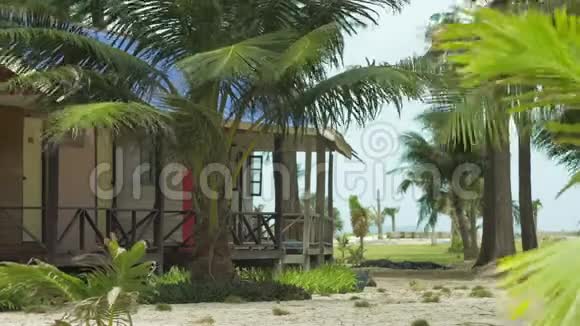 沙滩上微风吹拂的平房和热带棕榈树视频的预览图