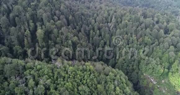 阿布哈兹美丽的山脉大自然的视频视频的预览图