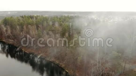 秋天一个水库的岸边有一片朦胧的森林在阴霾中飞翔视频的预览图