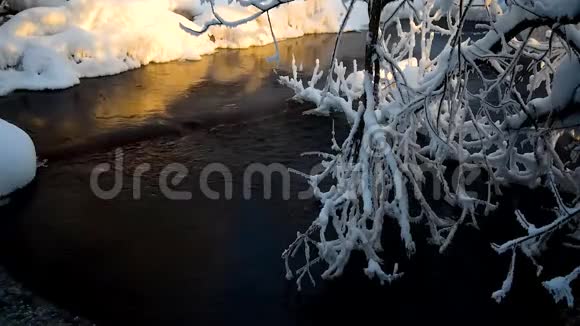 在冰冷的细雨中树枝沉入了一条汹涌的河流的冷水中俄罗斯冬季视频的预览图
