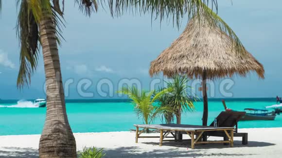 沙滩椅雨伞和沙滩棕榈游客乘坐快艇抵达泰国KohLipe岛亚洲视频的预览图