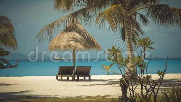 海滩棕榈帐篷下的两张木制躺椅视频的预览图