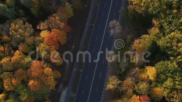 一条很好的光滑沥青路供汽车通过城市附近一片大而美丽的茂密森林阳光和温暖视频的预览图