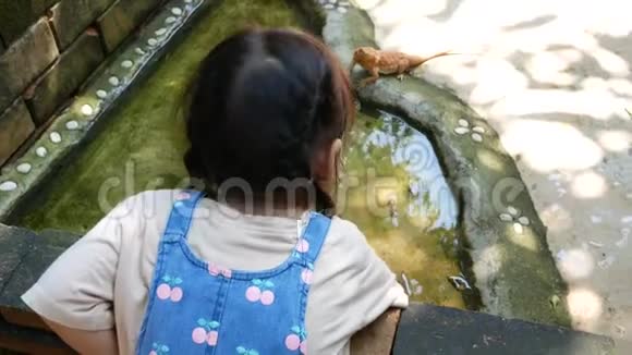 亚洲的小女孩正在看着并试图在游泳池里捉乌龟好奇和有趣视频的预览图
