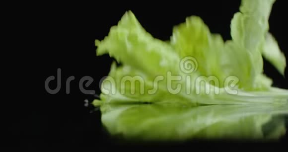 在缓慢的运动中新鲜的绿色生菜叶子随着水的溅落视频的预览图