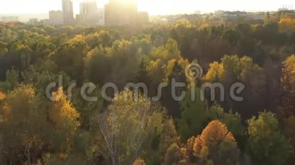 用五颜六色的树飞过秋天的森林在地平线上你可以看到房子上面有明亮的光线视频的预览图