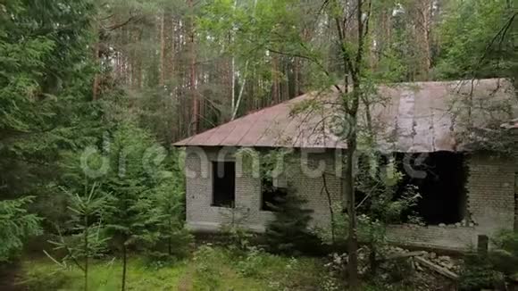 废弃的森林中的旧建筑视频的预览图
