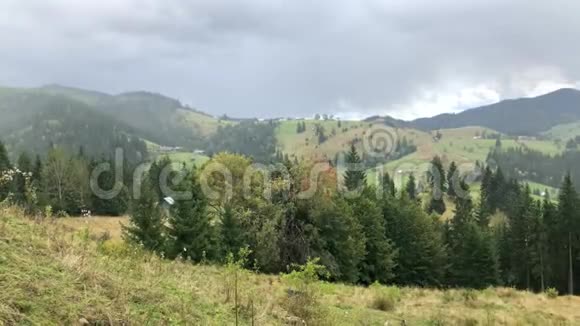 美丽的风景山山草地布科维纳罗马尼亚4k录像视频的预览图
