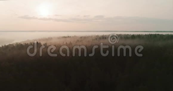 河流上的橙色日出日出时晨雾的4K鸟瞰里夫的晨雾中的橙色阳光视频的预览图