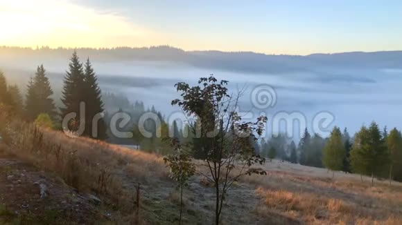 美丽的风景罗马尼亚乡村雾日出日光雾罗马尼亚田园乡村生活乡村4k视频的预览图