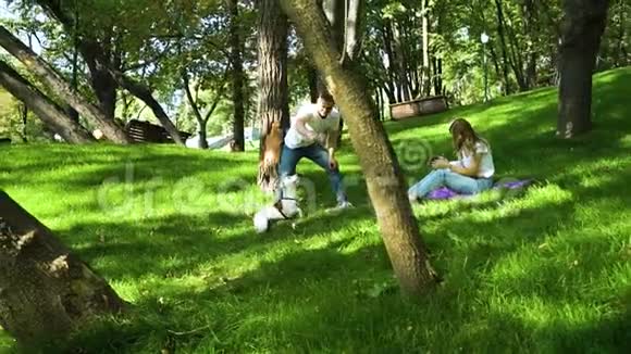 有宝宝和狗的年轻父母在夏季公园放松视频的预览图