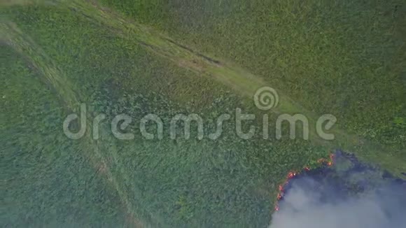 田野里燃烧着绿草和火灾中浓烟的俯视图绿野森林火灾的鸟瞰图视频的预览图