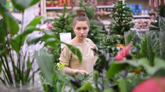 女孩在花店里选择一种植物视频的预览图