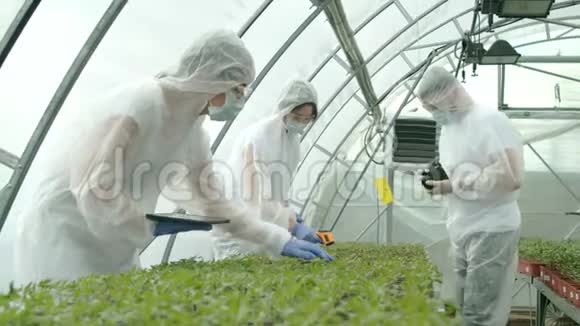 农民在温室里检查植物视频的预览图