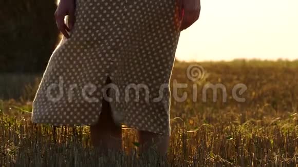 那个女孩站在一片被碾碎的麦田里面对日落时的剪子向远处望去她的衣服穿着视频的预览图