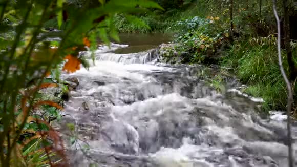 比利时的小河叫做巴耶洪视频的预览图