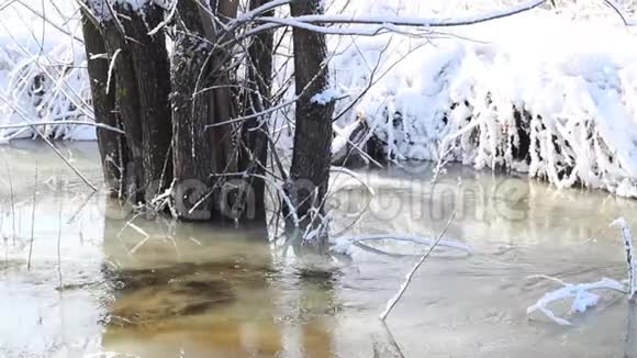 早春的水正从沟渠中流过视频的预览图
