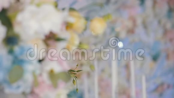 为婚礼准备的美丽的多色花束玫瑰色为奶油色蓝色粉红色和白色视频的预览图