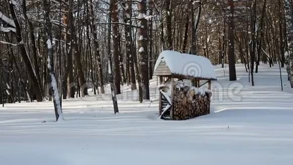 阳光明媚的一天美丽的木桩作为冬季公园的生态外部装饰视频的预览图